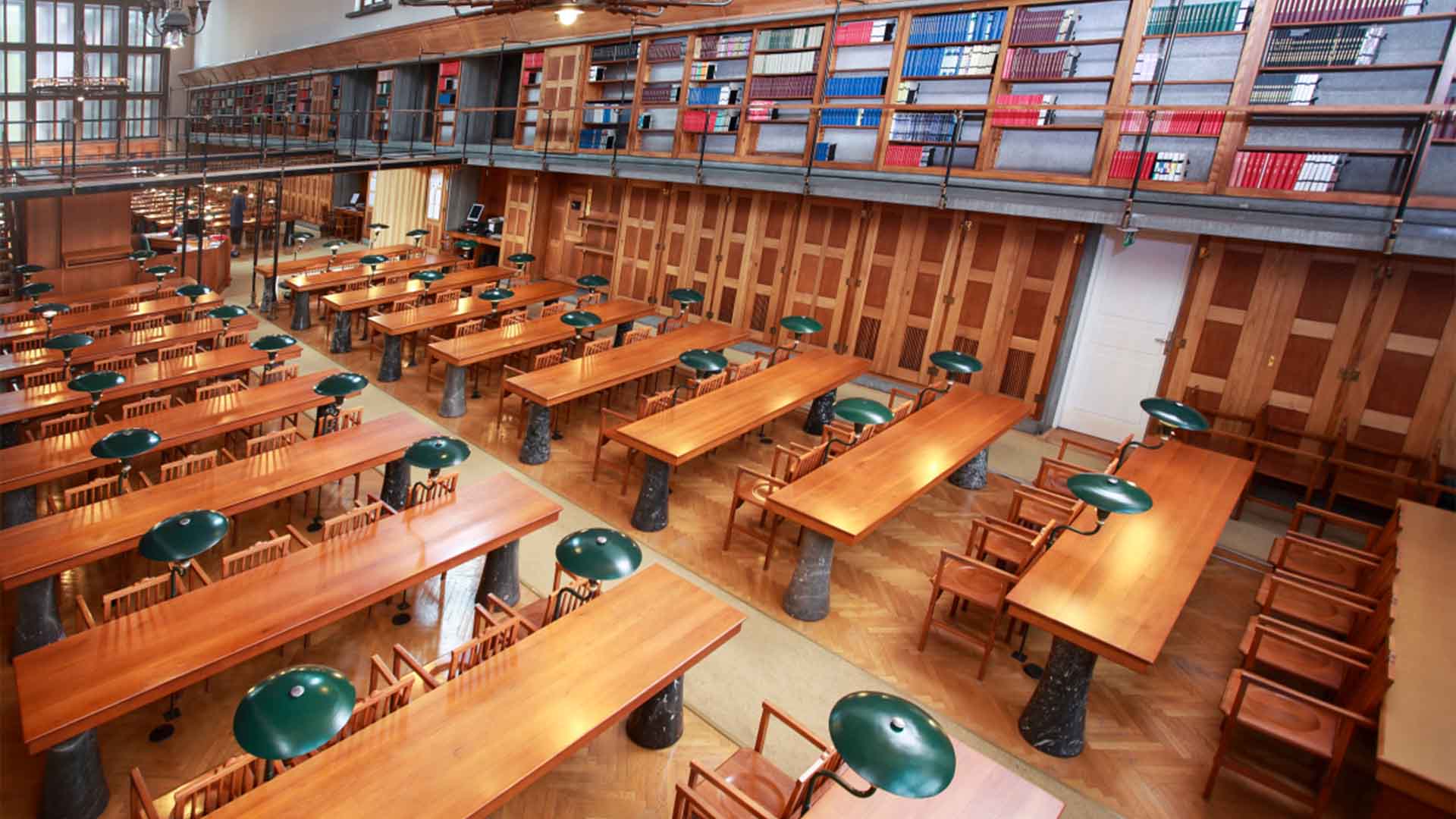 我的大学